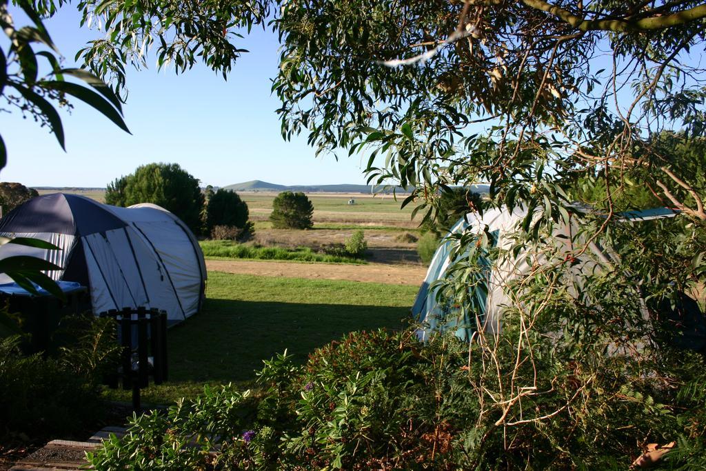 Millicent Hillview Caravan Park Luaran gambar