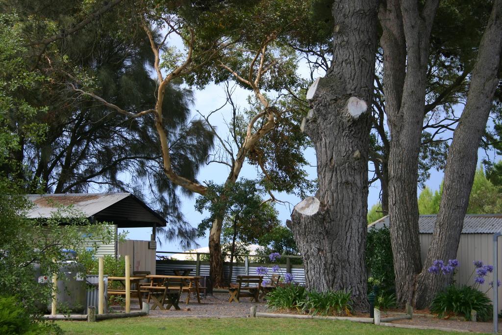 Millicent Hillview Caravan Park Luaran gambar