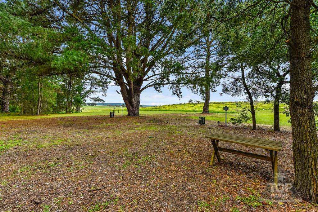 Millicent Hillview Caravan Park Luaran gambar